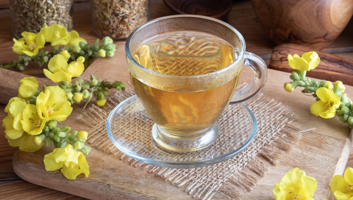 Té o infusión de gordolobo. Té o infusión de gordolobo.