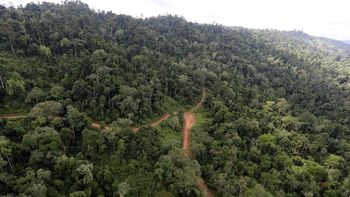 Construyó una ruta de 85 kilómetros en el corazón de América del Sur y recibió una multa de 91.000 dólares