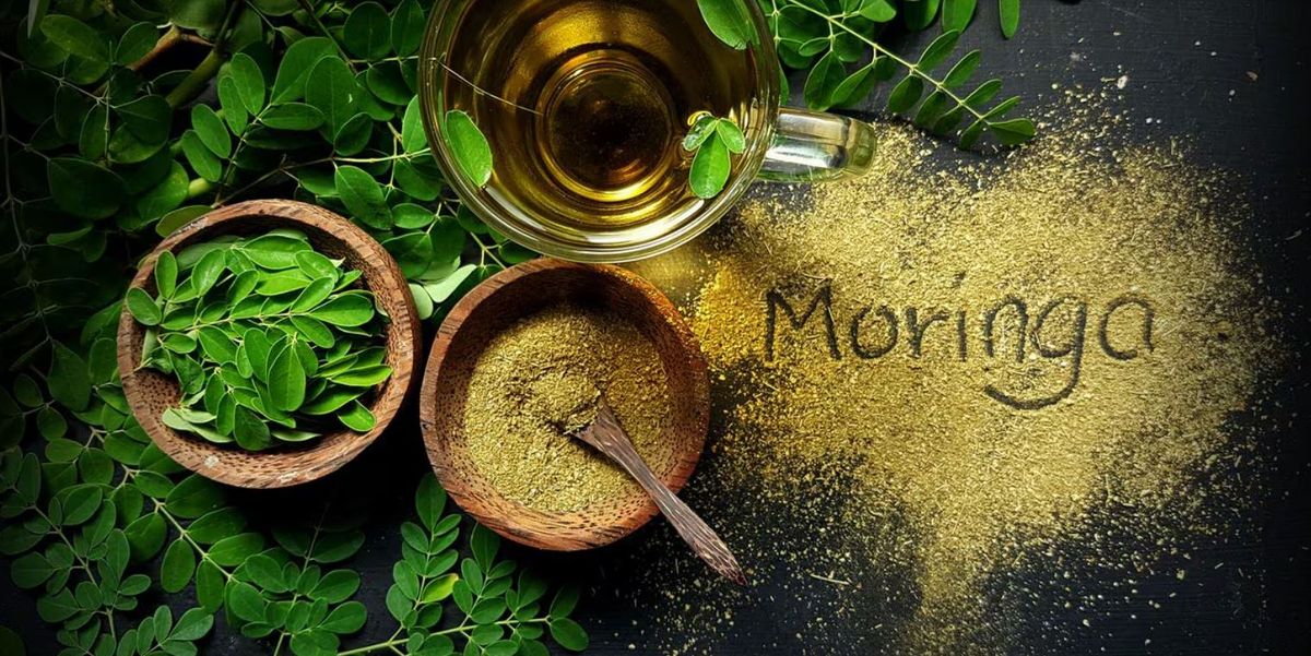 La planta medicinal La planta medicinal