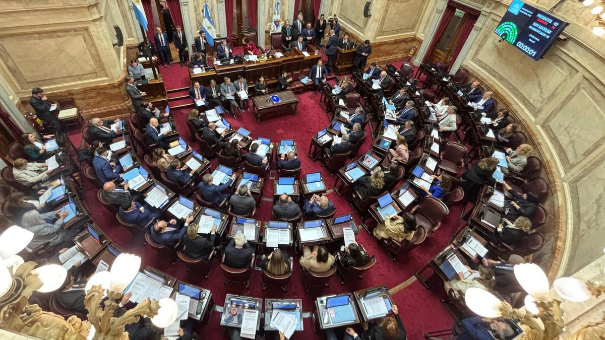 Por mayoría el Senado de la Nación rechazó interpelar a Luis Petri, Luis Caputo y Karina Milei.