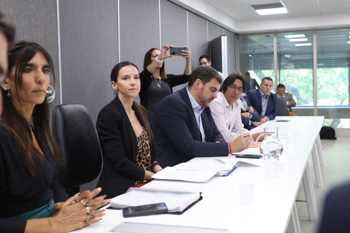 Legisladores oficialistas de la comisión de LAC de la Cámara Alta durante la exposición del subrecretario de Justicia, Marcelo D'Agostino.