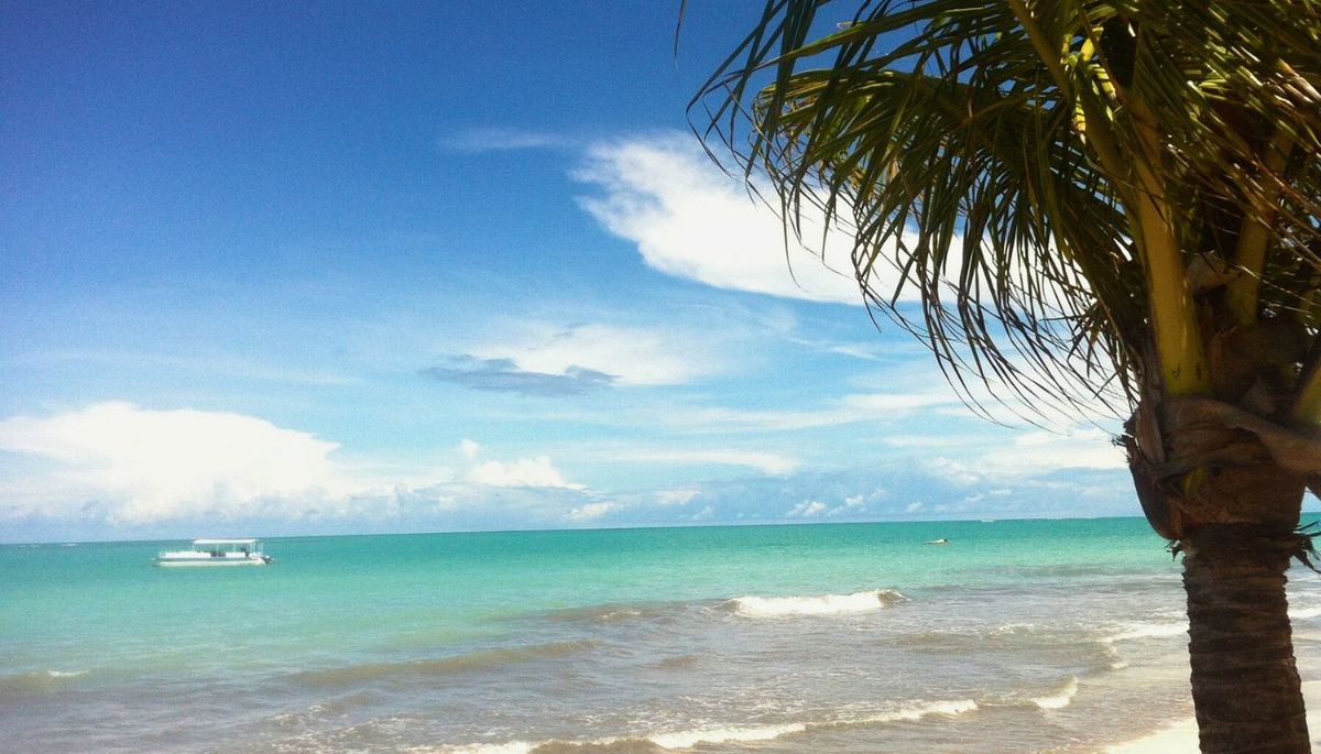 Ni Río de Janeiro ni Camboriú: la playa al norte de Brasil que tiene aguas turquesas y es un encanto