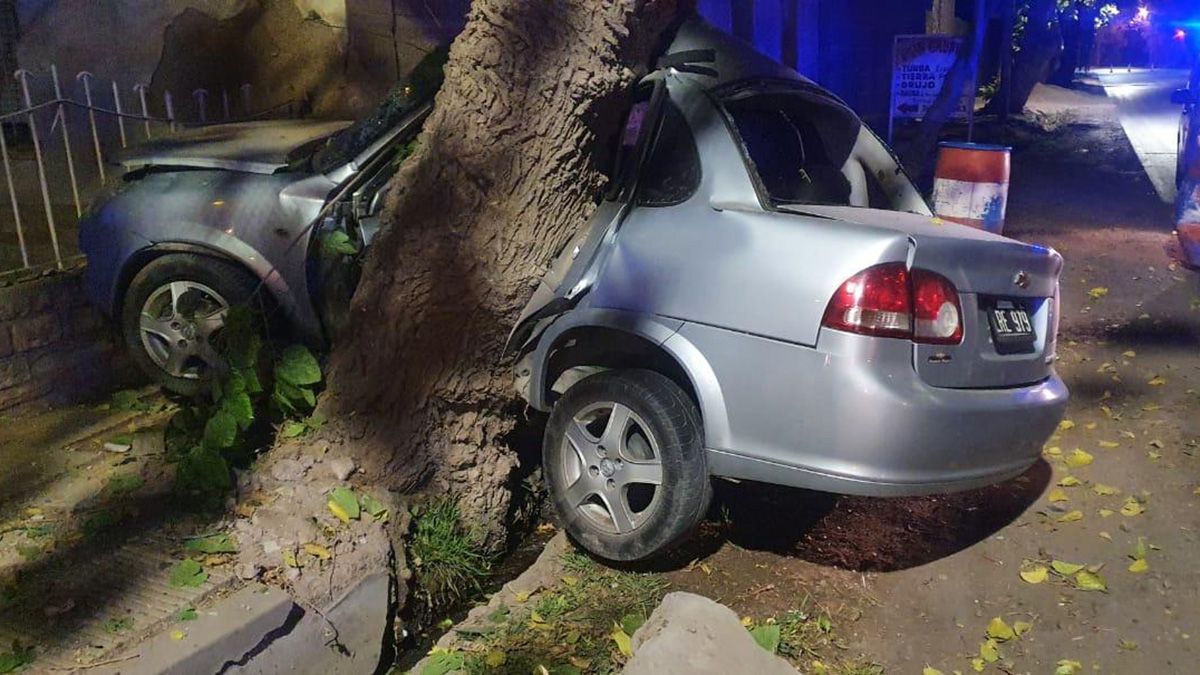 El automóvil impactó violentamente contra un árbol