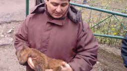 Crisis en el zoológico provincial: encontraron otros seis animales muertos y analizan el cierre temporal