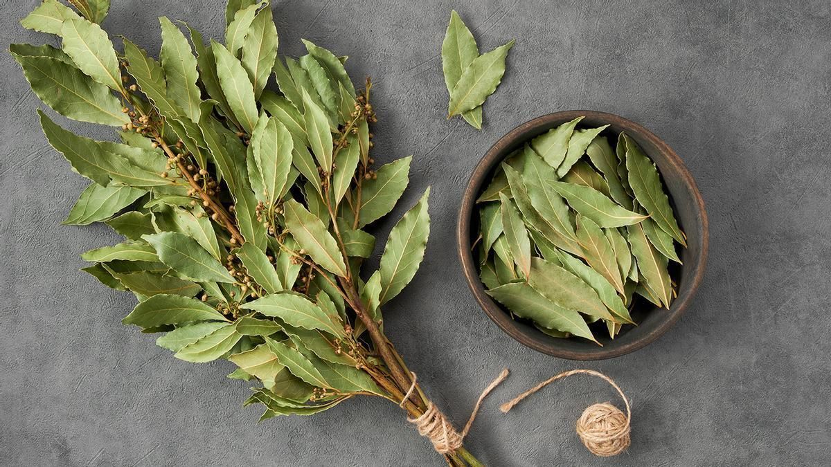 La hoja de laurel actúa como un tónico para el cabello y ayuda a tratar la caspa. La hoja de laurel actúa como un tónico para el cabello y ayuda a tratar la caspa.