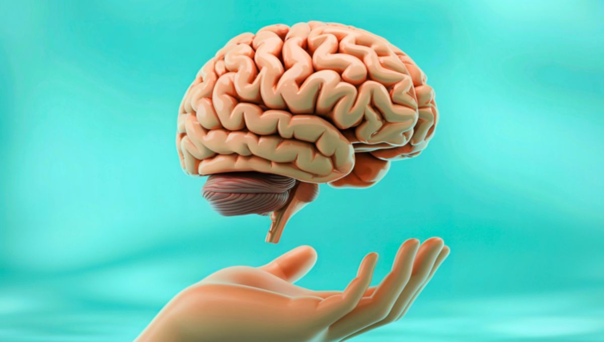 Estas ventajas no est&aacute;n relacionadas con una mayor capacidad intelectual, sino con un desarrollo evolutivo algo m&aacute;s avanzado.