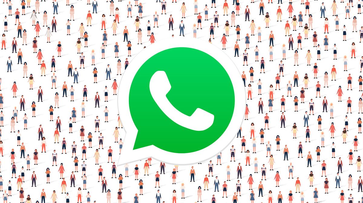 WhatsApp. La ciencia reveló por qué algunos integrantes de los grupos de WhatsApp no interactúan, pero leen todos los mensajes. WhatsApp. La ciencia reveló por qué algunos integrantes de los grupos de WhatsApp no interactúan, pero leen todos los mensajes.