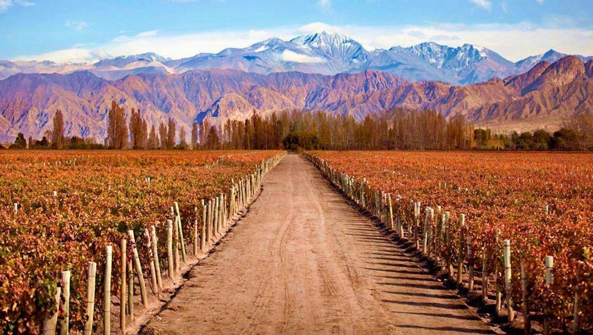 Sergio Marinelli defendió la habilitación para pedir pozos de agua que hizo Irrigación en una zona restringida.