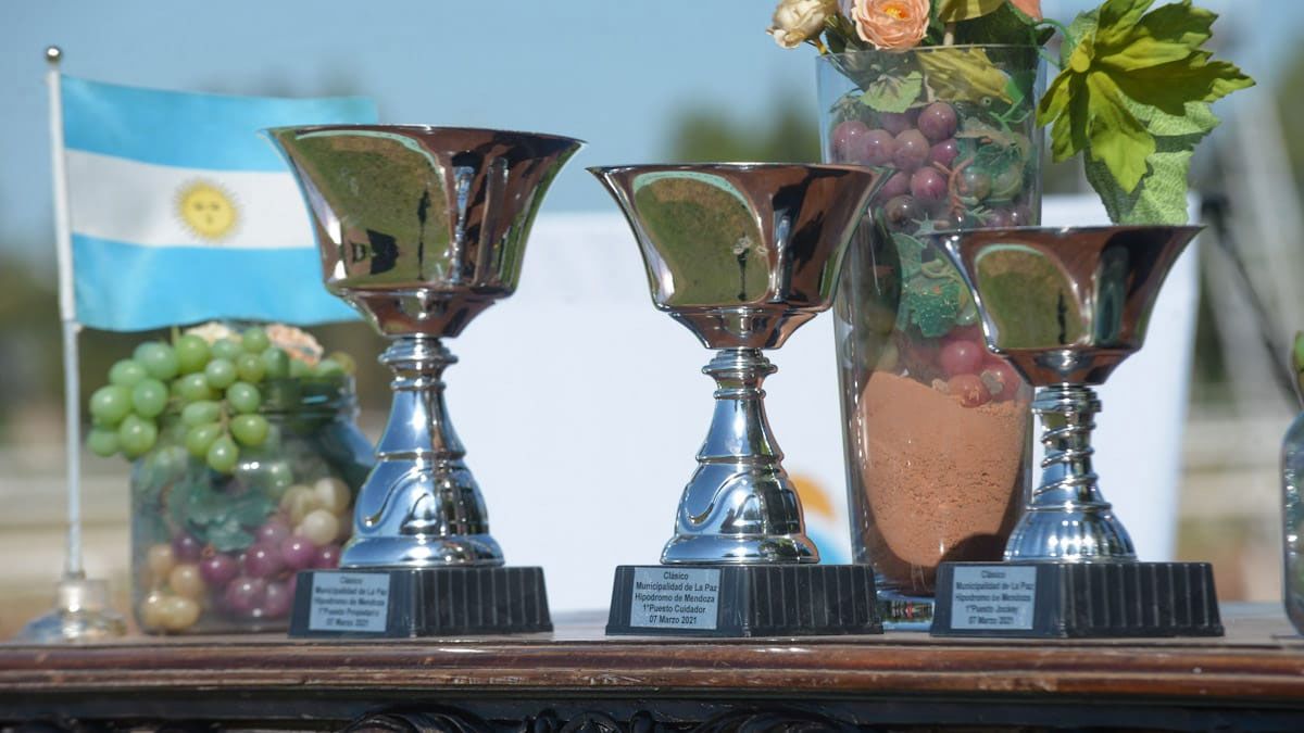 El hipódromo de Mendoza se vistió de fiesta para recibir el Clásico Vendimia Copa Canal 7. (Fotos Martín Pravata/UNO).