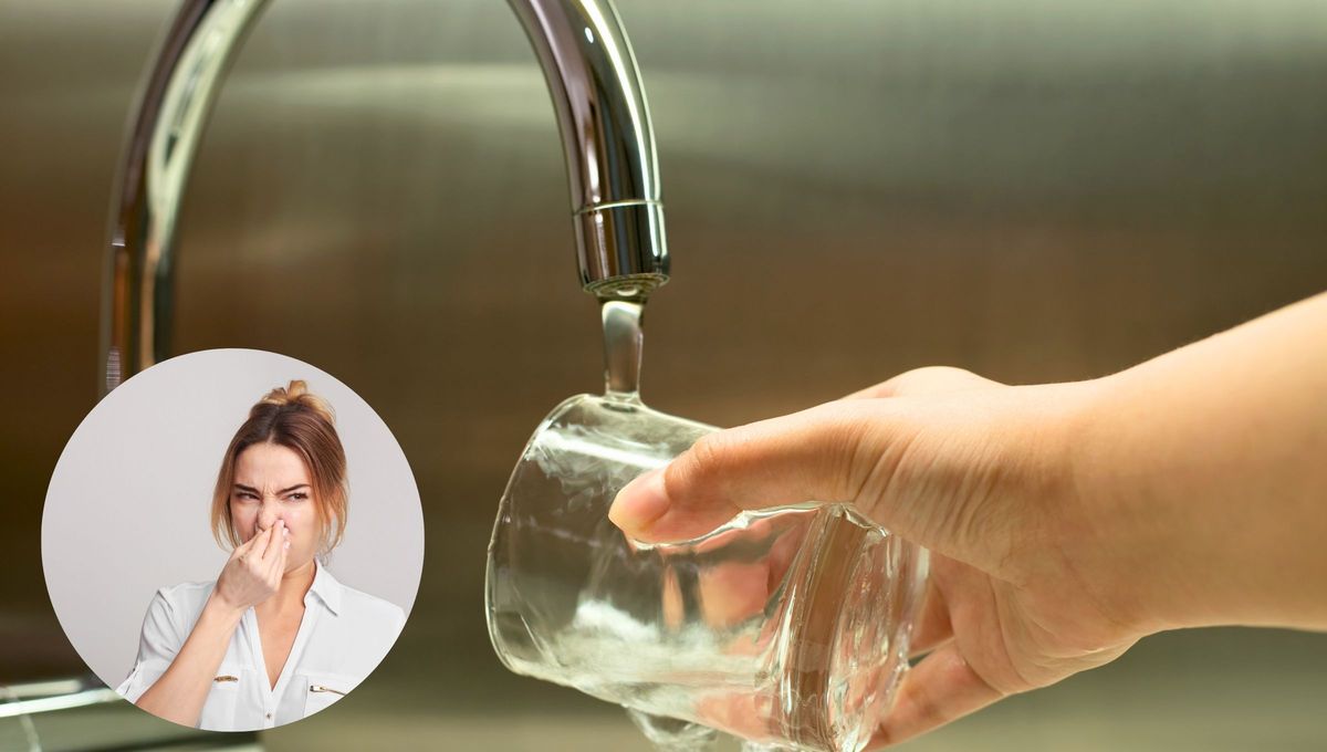 Gracias a este truco con bicarbonato podrás deshacerte del olor a huevo sin problemas Gracias a este truco con bicarbonato podrás deshacerte del olor a huevo sin problemas