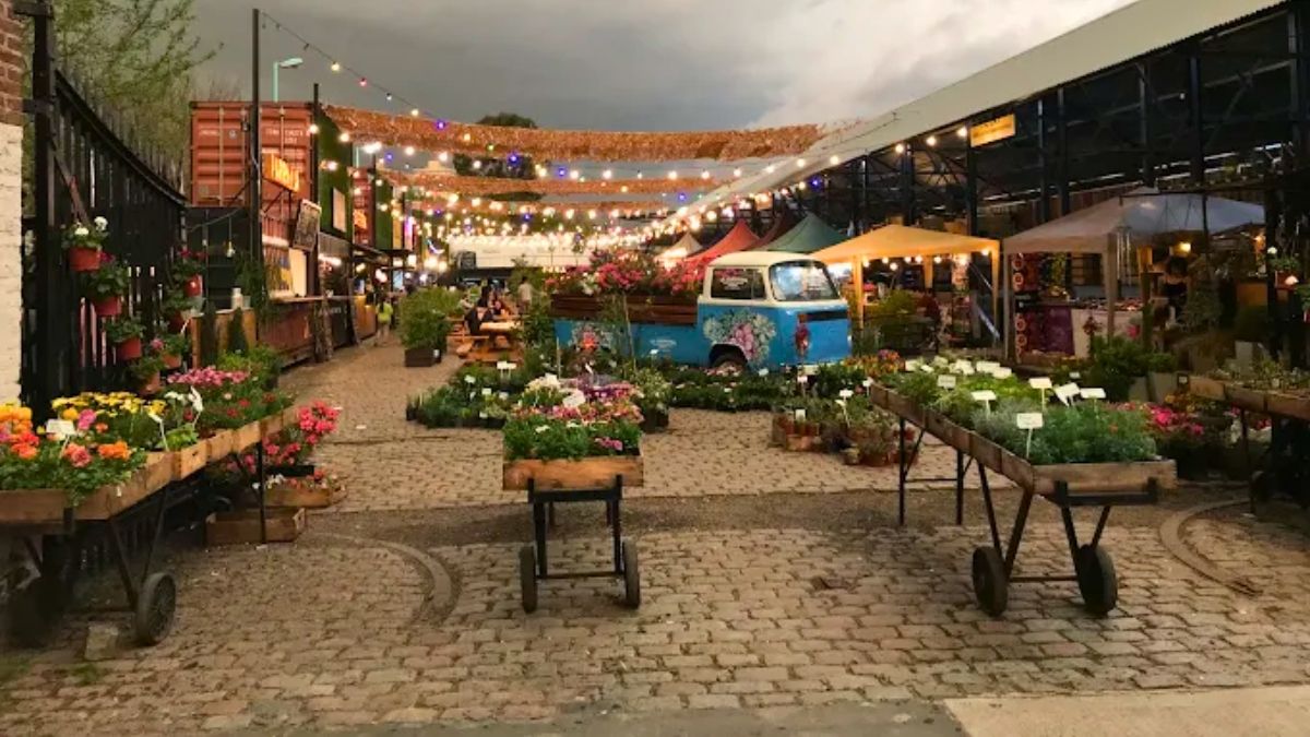 El bodegón llama la atención por toda su decoración. El bodegón llama la atención por toda su decoración.