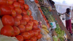 Chajarí: decomisaron más de siete toneladas de hortalizas