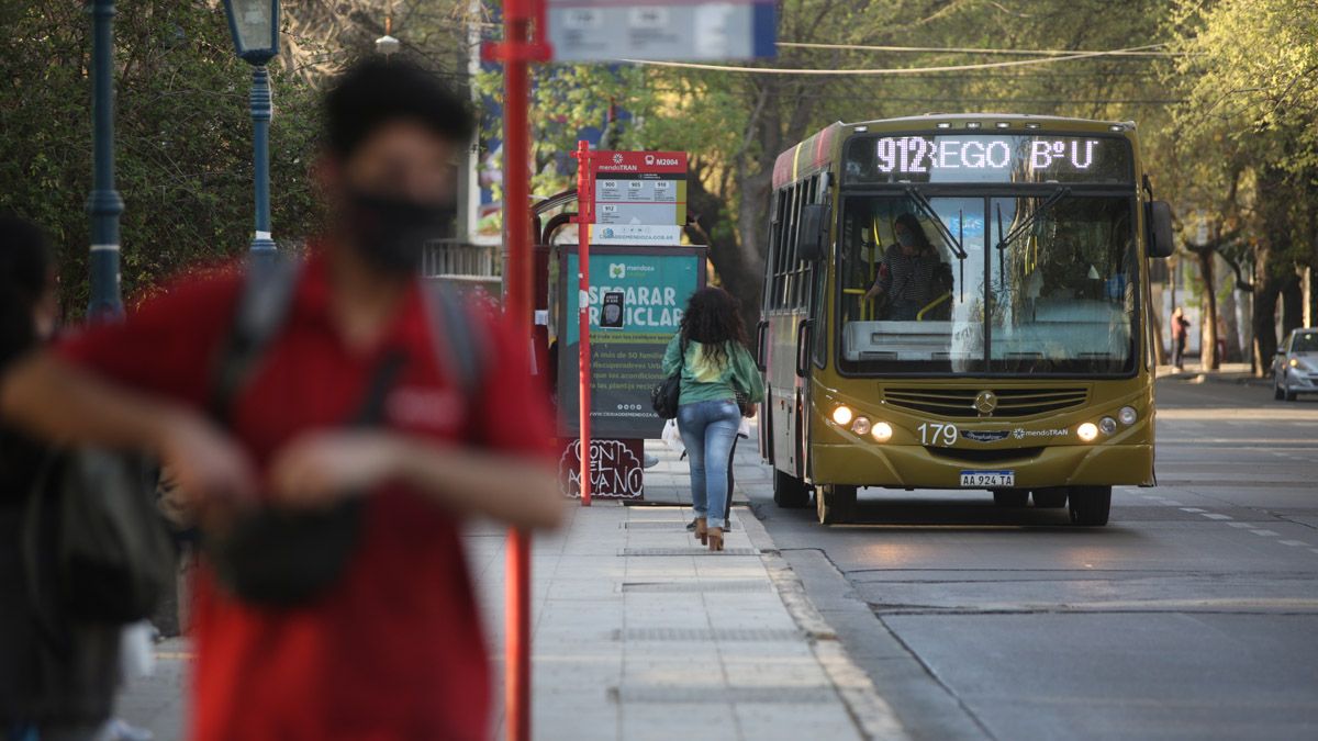 Coronavirus en Mendoza: hubo 481 nuevos casos y 5 muertos