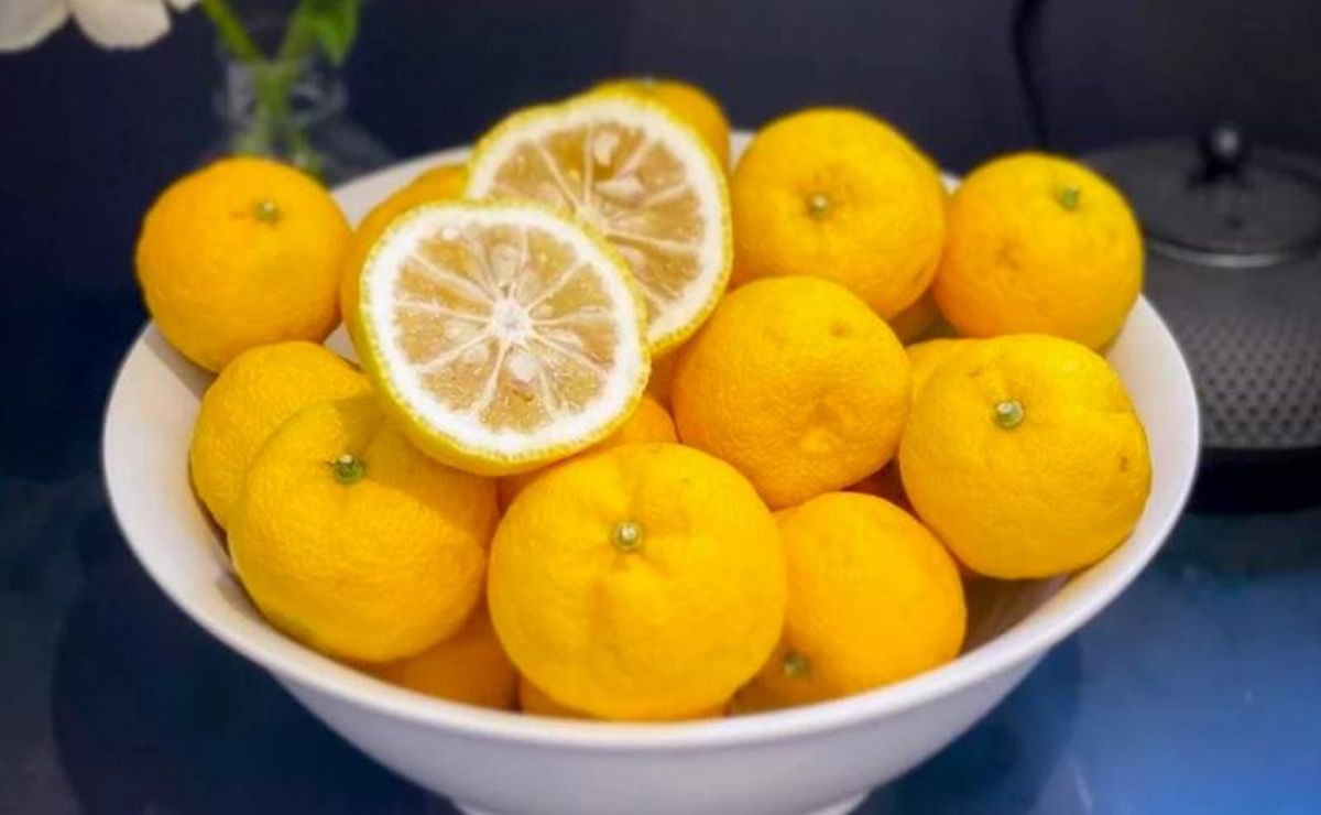 Yuzu, el potente cítrico que da que hablar. Yuzu, el potente cítrico que da que hablar. 