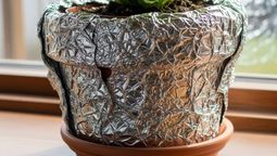 El papel aluminio puede ser altamente beneficioso para tu planta de aloe vera.&nbsp;