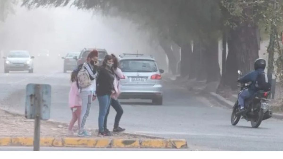 Tomá las medidas necesarias para cuidarte. Tomá las medidas necesarias para cuidarte.