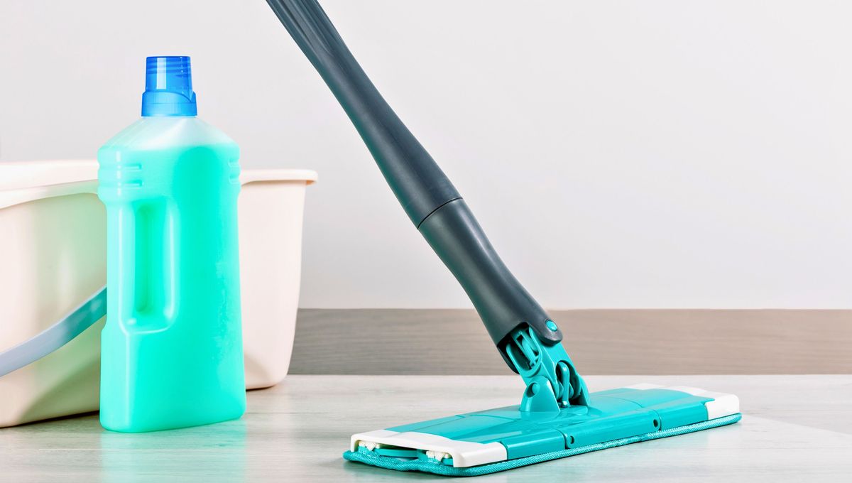 Utiliza escobas, trapos y esponjas limpias y en buen estado para limpiar la casa. Utiliza escobas, trapos y esponjas limpias y en buen estado para limpiar la casa. 