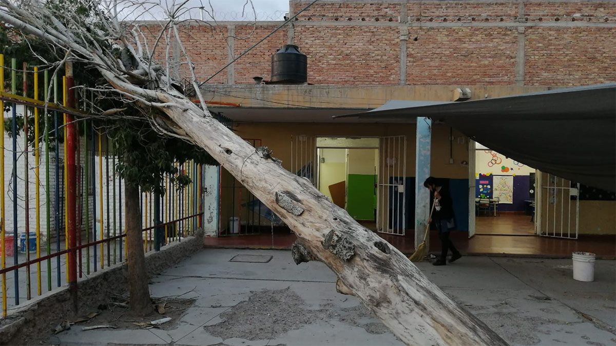 Las consecuencias del Zonda del miércoles.