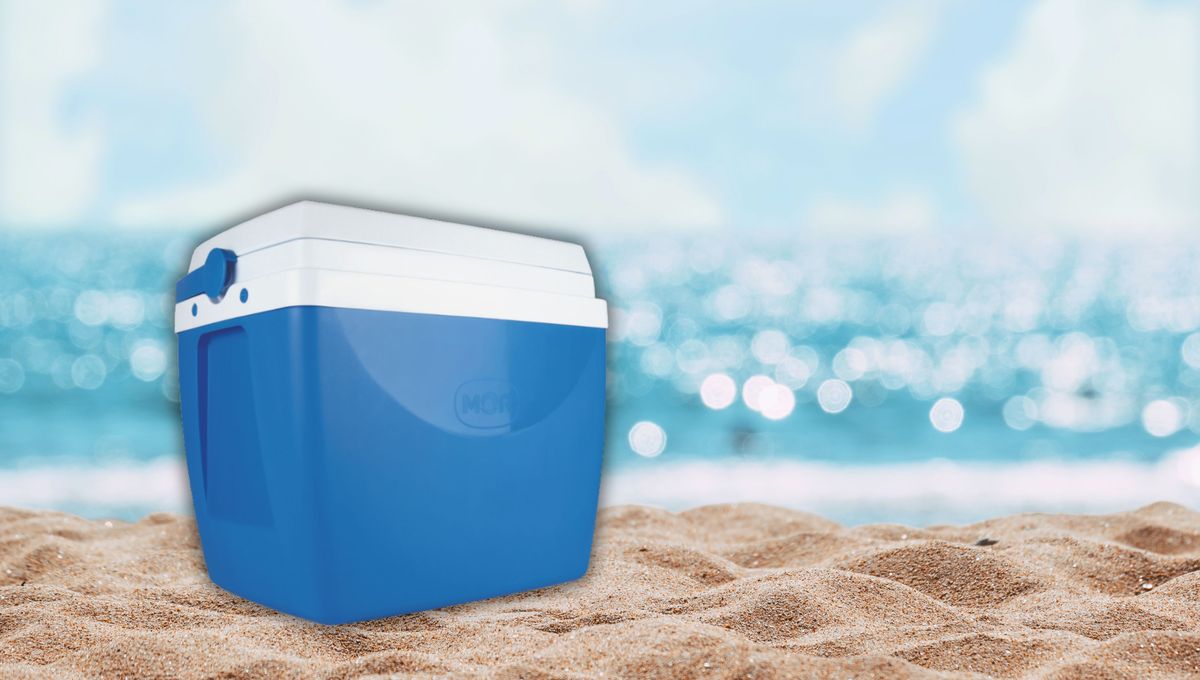 Es importante mantener los alimentos frescos y bien almacenados si vas a realizar una salida de verano bajo el sol. Es importante mantener los alimentos frescos y bien almacenados si vas a realizar una salida de verano bajo el sol.