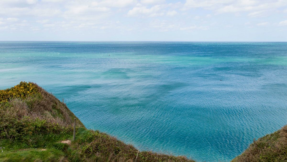 Se estima que es la ruta marítima más transitada del mundo, lo que lo convierte en un componente esencial para la logística internacional y el transporte marítimo con más de 400 barcos pasando allí por día. Se estima que es la ruta marítima más transitada del mundo, lo que lo convierte en un componente esencial para la logística internacional y el transporte marítimo con más de 400 barcos pasando allí por día.