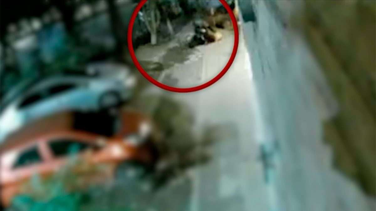 Pateó a un ladrón que tenía un cuchillo y salvó a una mujer