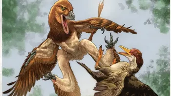 Descubrimiento de un dinosaurio ardilla, que planeaba entre los árboles para cazar Descubrimiento de un dinosaurio ardilla, que planeaba entre los árboles para cazar