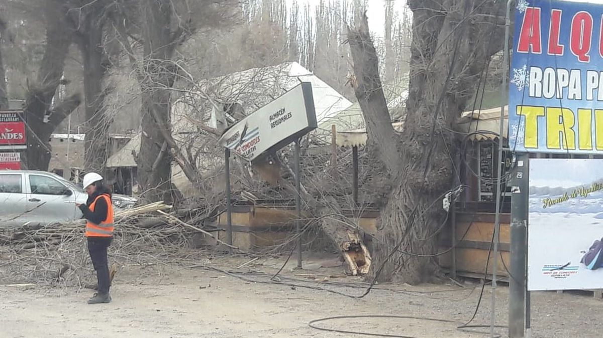 Además de herir a una mujer, destruyó parte de un restaurante y un auto. Además de herir a una mujer, destruyó parte de un restaurante y un auto.