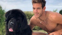 Del Potro y una triste despedida en las redes