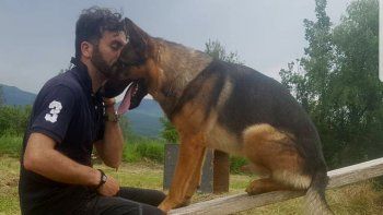 Envenenaron al heroico perro que salvó vidas tras terremotos en Italia