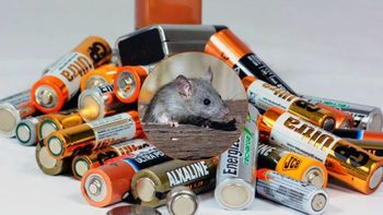 Si tienes pilas gastadas en casa, tienes un gran tesoro: cómo reciclarlas con esta maravillosa idea Si tienes pilas gastadas en casa, tienes un gran tesoro: cómo reciclarlas con esta maravillosa idea