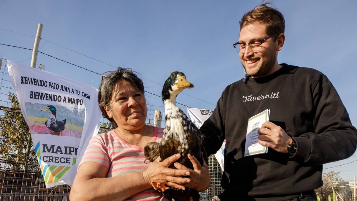 El pato Juan tuvo una cálida bienvenida por parte de la Municipalidad de Maipú
