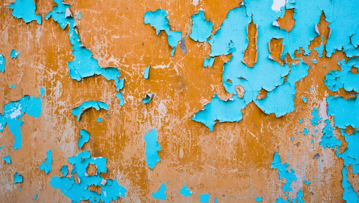 Con un DIY o una guía de pintura, puedes pintar las paredes sin dejar marcas. Con un DIY o una guía de pintura, puedes pintar las paredes sin dejar marcas.