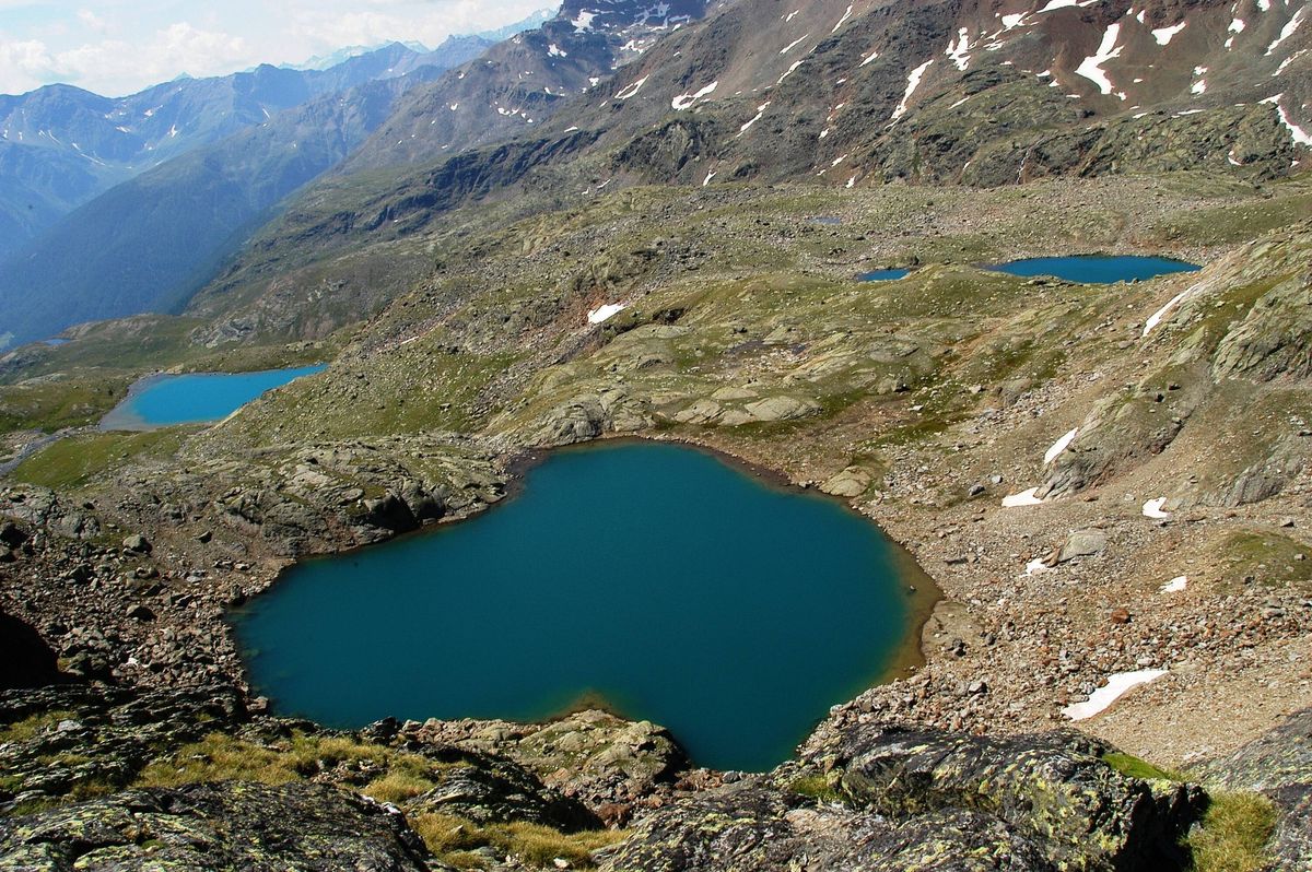 Parque Nacional del Stelvio busca voluntarios de todo el mundo. Parque Nacional del Stelvio busca voluntarios de todo el mundo. 