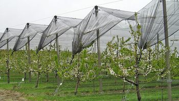 Qué es el RIGI para pymes que se incluye en la reforma laboral y por qué su aplicación es incierta Qué es el RIGI para pymes que se incluye en la reforma laboral y por qué su aplicación es incierta