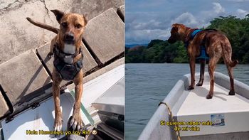 El perrito mendocino que fue adoptado por dos viajeros y ahora recorre el mundo