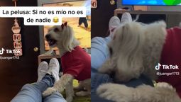 Una pelea entre una mujer y un perro se hizo viral en Tiktok y casi termina de la peor manera
