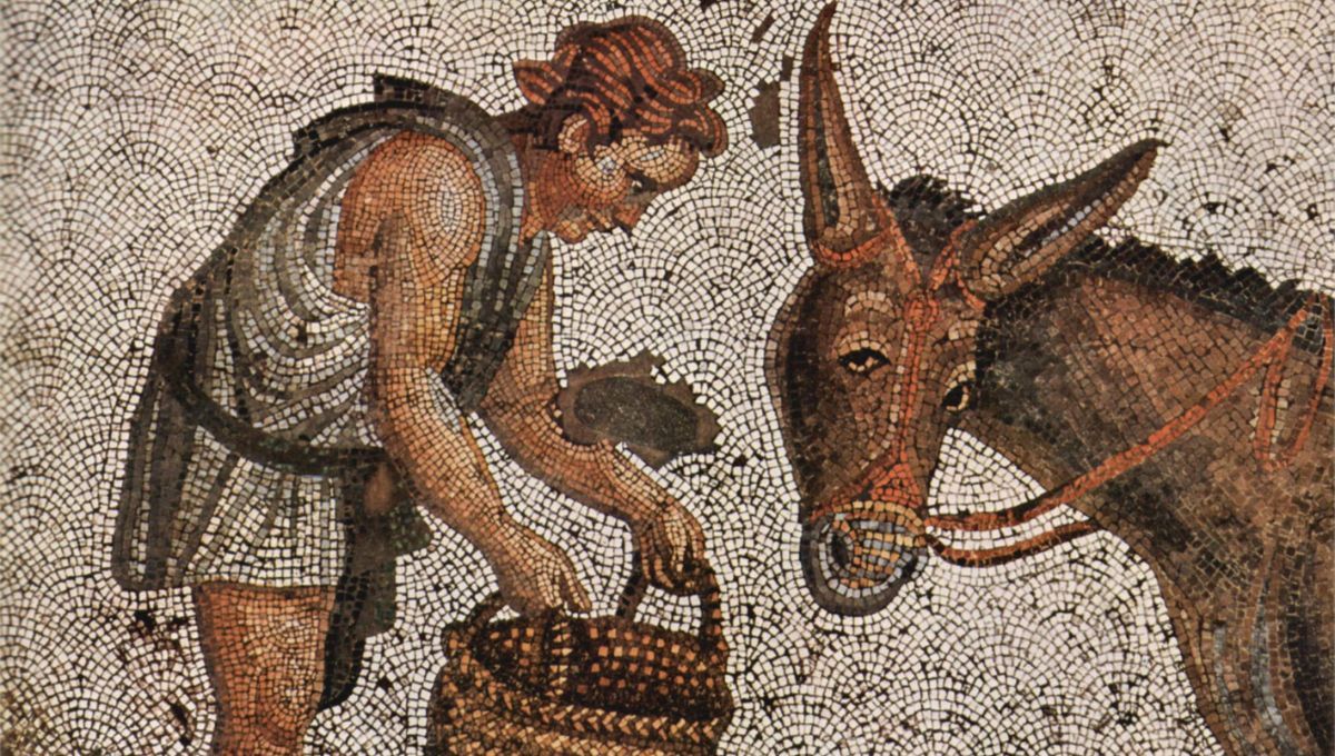 Actuar, aunque imperfecto, es la lección que la filosofía transmite a nuestra vida cotidiana Actuar, aunque imperfecto, es la lección que la filosofía transmite a nuestra vida cotidiana