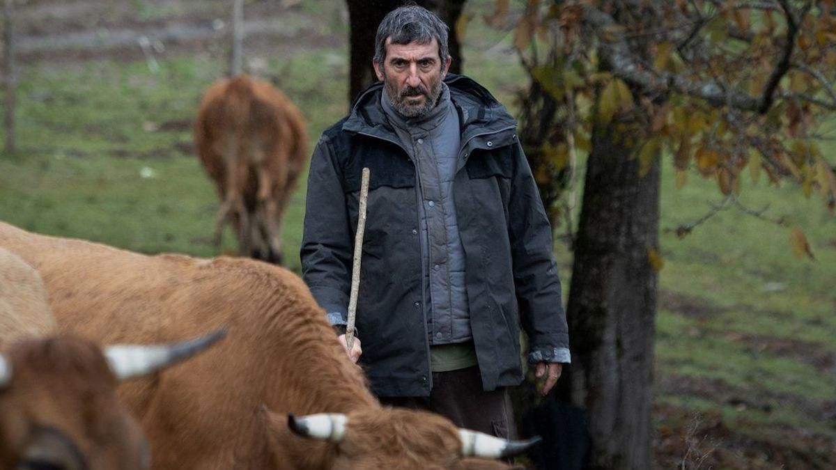 Luis Zahera logró convertirse en uno de los más aplaudidos por su increíble papel en la película As Bestas. Luis Zahera logró convertirse en uno de los más aplaudidos por su increíble papel en la película As Bestas.