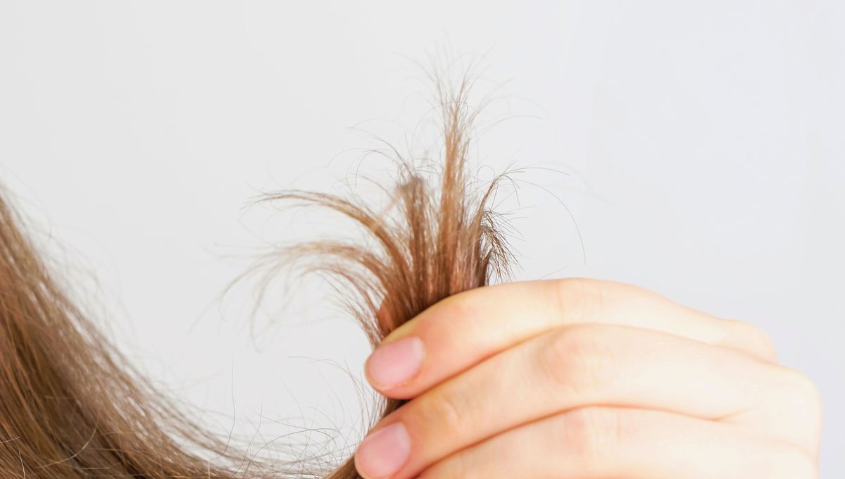 La temperatura del agua, el champú, el cepillado y los peinados pueden aumentar el daño. La temperatura del agua, el champú, el cepillado y los peinados pueden aumentar el daño. 