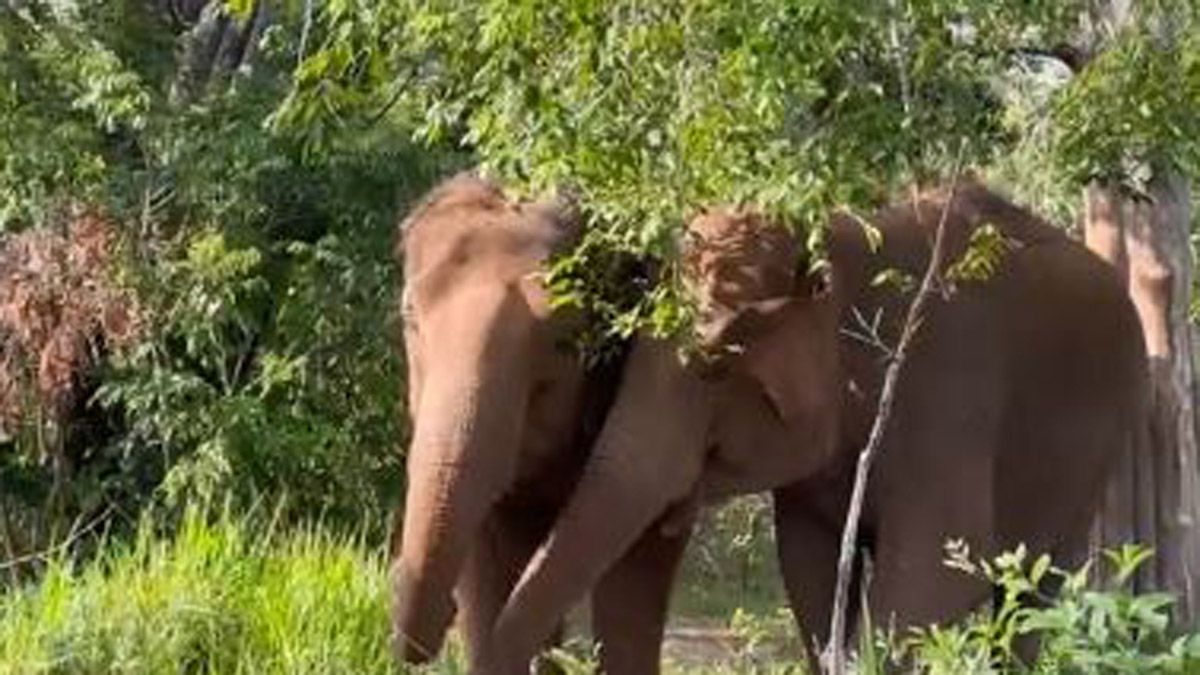 Buena onda entre Maia y Guillermina.