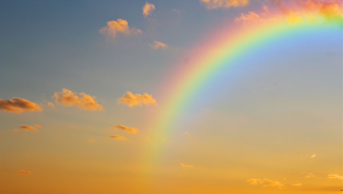 Dentro de los mitos y leyendas más lindos que recorren el mundo, el arcoíris ocupa uno de los primeros puestos. Dentro de los mitos y leyendas más lindos que recorren el mundo, el arcoíris ocupa uno de los primeros puestos.