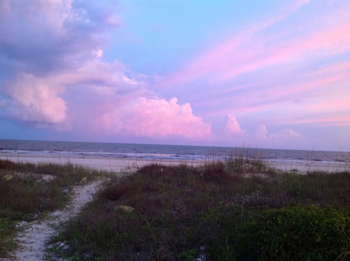 A fines de la década de 1830, se la consideraba la ciudad más grande de Florida. A fines de la década de 1830, se la consideraba la ciudad más grande de Florida.