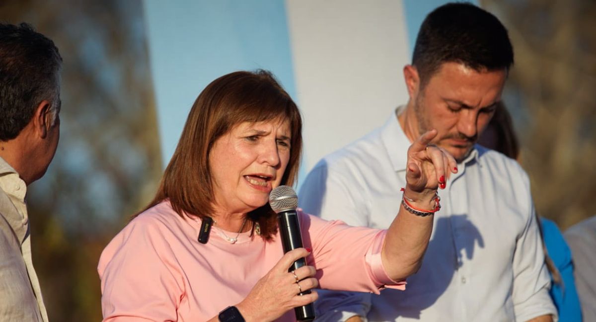 Patricia Bullrich elogió a su compañero de fórmula, Luis Petri.