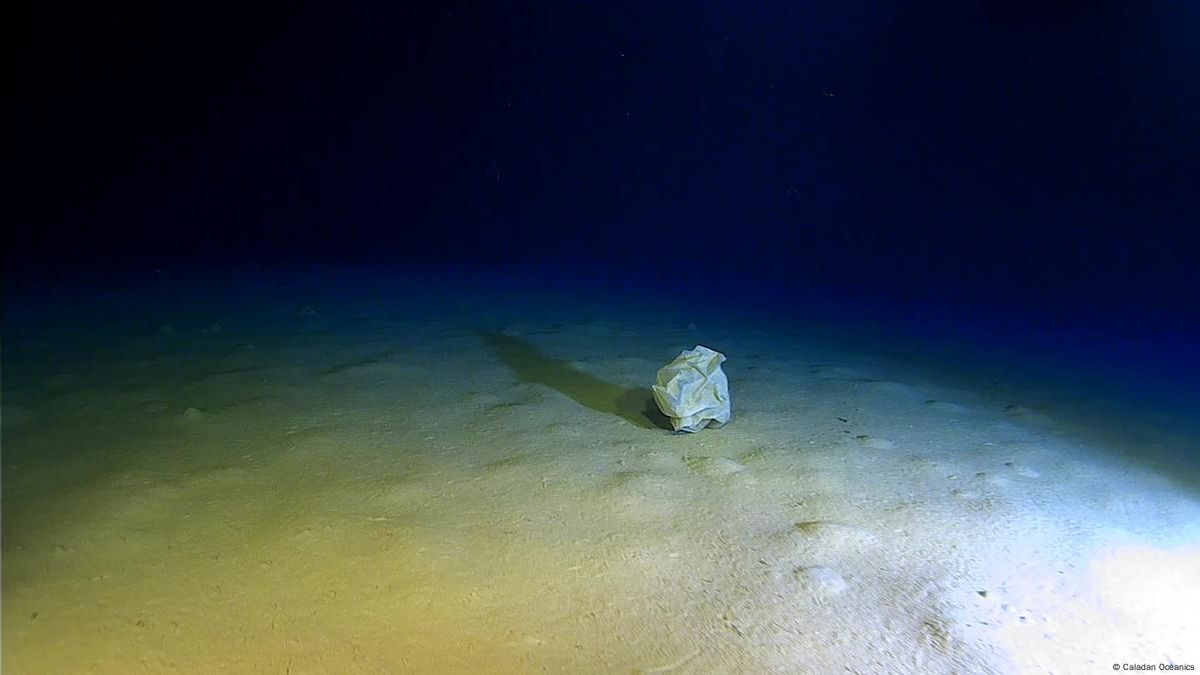 Sorprendente descubrimiento en el fondo del mar Mediterráneo alarma al mundo entero. Foto: Caladan Oceanics Sorprendente descubrimiento en el fondo del mar Mediterráneo alarma al mundo entero. Foto: Caladan Oceanics