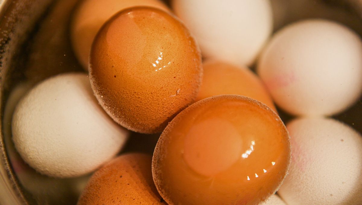 A continuaci&oacute;n, te presentamos la gu&iacute;a definitiva para dominar este fen&oacute;meno y entender la qu&iacute;mica que hay detr&aacute;s del truco.