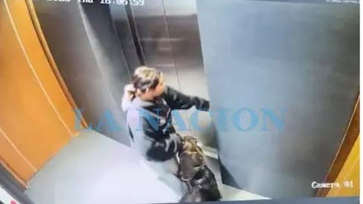 Se filtraron las imágenes de las cámaras de seguridad del departamento de Facundo Leal en la Ciudad de Mendoza. Se filtraron las imágenes de las cámaras de seguridad del departamento de Facundo Leal en la Ciudad de Mendoza.