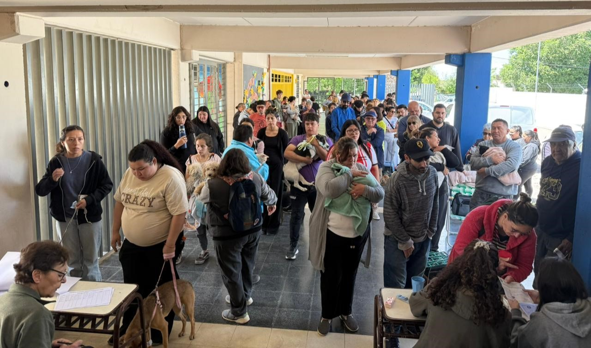 Cornejo le cedió a Rufeil un terreno para construir en San Martín la primera clínica veterinaria estatal