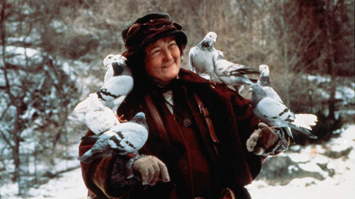 Mi pobre angelito: así luce hoy la mujer de las palomas