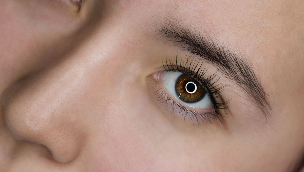 Gracias a este preparado casero podrás alargar las pestañas. Gracias a este preparado casero podrás alargar las pestañas.