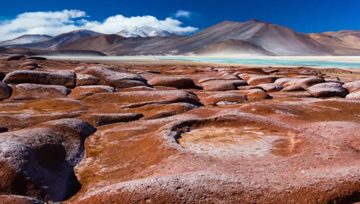 Sorprendente descubrimiento revela lo que ocultaba el suelo del desierto de Atacama